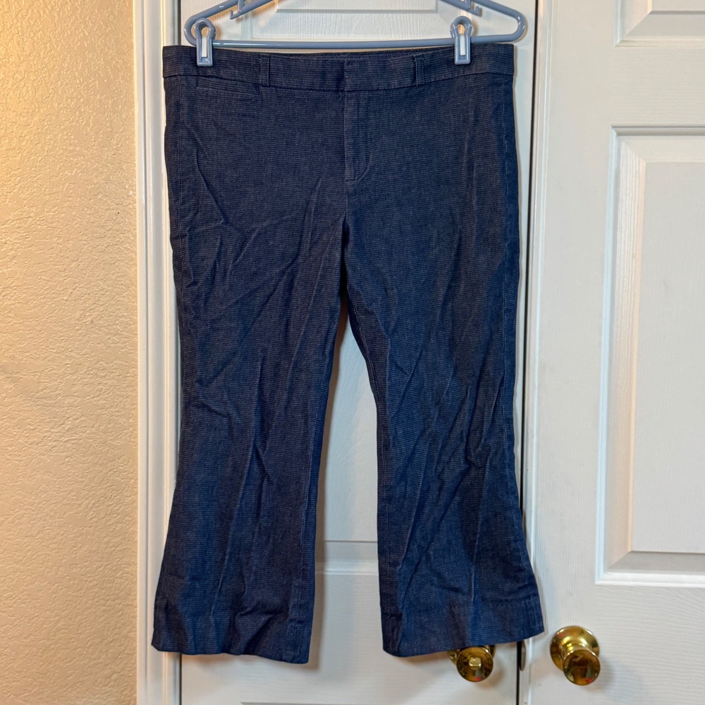 Banana Republic Sloan Stripe Dress Pants Trousers Women's Size Petite Sz 12 Jean